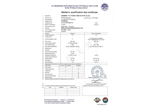 SMAW-FM2-PF（ss，mb）---Qu Ziqiang